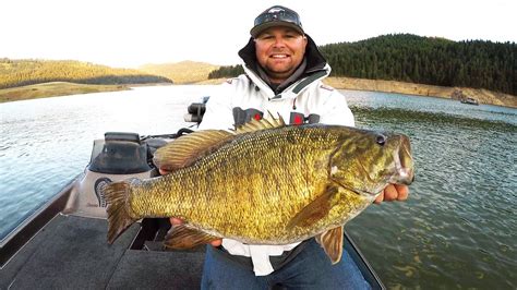 personal  giant smallmouth bass bass manager   bass fishing page
