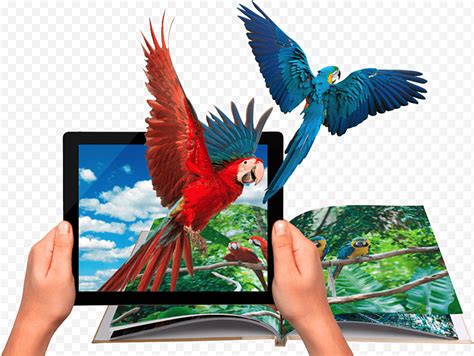 bird parrot augmented reality virtual reality vuforia augmented reality sdk wikitude dunia