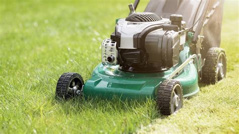 clean lawn mower air filter greeniqco