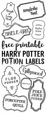 Potion Potions Papertraildesign sketch template