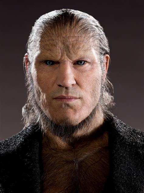 fenrir greyback fenrir greyback photo  fanpop