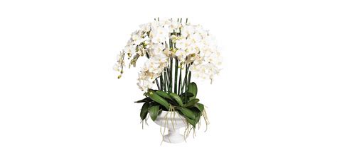 White Phalaenopsis Orchid In Pedestal Bowl Ethan Allen
