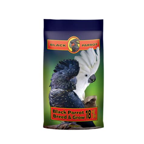 black parrot breed grow  goodna produce