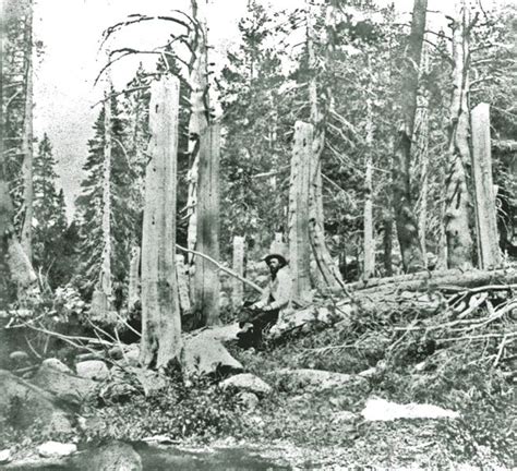 snowshoeing with the donner party donner party history history pictures