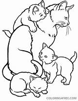 Cat Coloring Kittens Pages Mother Kitten Drawing Kids Clipart Family Colouring Color Mommy Printable Sheets Animal Cats Realistic Clip Print sketch template