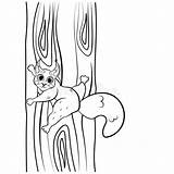 Squirrel Isolated Vectors sketch template