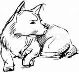 Dog Down Sitting Drawing Laying Drawings Sketch Cartoon Sketches Coloring Animal Easy Getdrawings Choose Board Pages Source sketch template