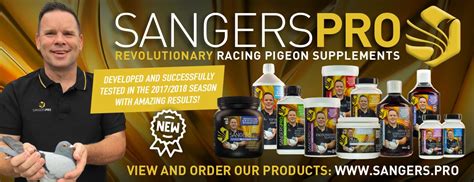 sangers pigeons exclusive top quality breeds