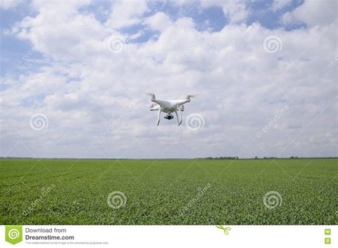 flying white quadrocopters   field  wheat stock image image  remote helicopter