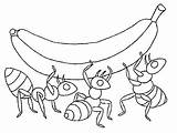 Ant Coloring Pages Print sketch template