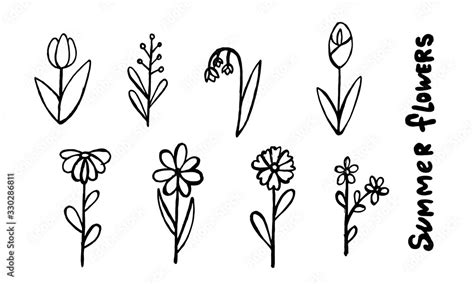 set  simple summer flowers drawings abstract flower illustration