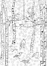 Hiver Anti Coloriages Julie Russie Invierno Neige Adulte Coloringhome Vögel Nieve Bajo Aves Schnee Extranjeros Passions Idiomas Loisirs Thérapie Ausmalen sketch template