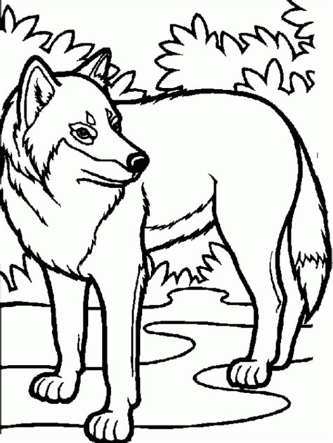 easy wolf coloring pages podelki