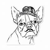 Terrier Boston Coloring Pages Printable Yorkie Bulldog Drawing French Puppy Dog Color Highland West Getcolorings Print Clipart Yorkshire Library Terriers sketch template