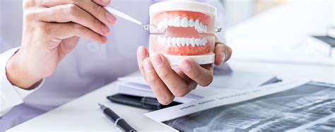 Dr Darawsheh Ali Farid Orthodontist Haifa Dental Budapest