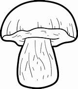 Coloring Catanas Inedible Boletus Mushrooms Book sketch template