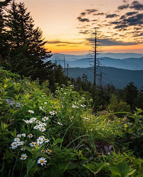 regram  great smoky mountains     beauty captured