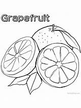 Grapefruit Gaddynippercrayons Citrus sketch template