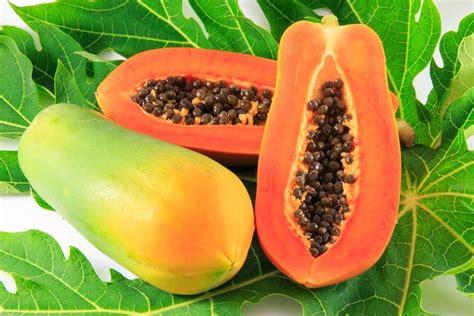 season papaya natural solutions magazine