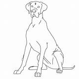 Drawings Sketches Kennels Colouring sketch template