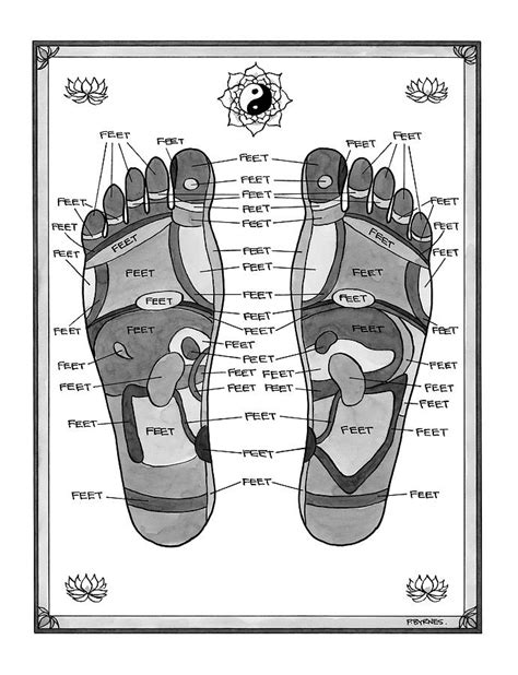 diagram diagram  parts   foot mydiagramonline