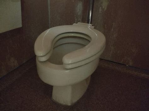 this toilet at my school has 2 seats mildlyinteresting