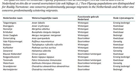 vogelkijkhutten  nederland en vlaanderen rode lijst van trek en wintergasten