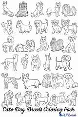 Breeds Puppy sketch template