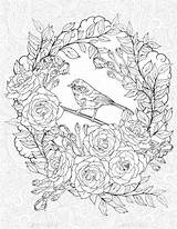 Coloring Bird Roses Pages Graphicriver Small Rose Choose Board sketch template