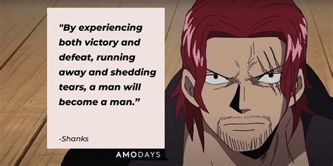 shanks quotes   charming  piece pirate