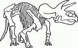 Clipart Bones Coloring Webstockreview Dinosaur Fossil sketch template