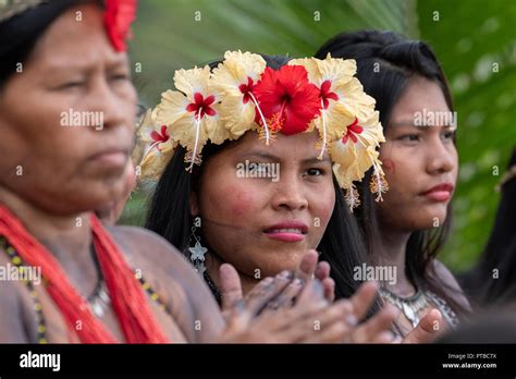Mittelamerika Panama Gatun See Embera Indian Village Typisches Dorf