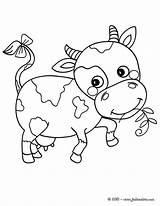Cow Vaca Boeuf Vaquita Veau Granja 1375 Hellokids Vaquitas Coloriages Colorier Infancia Lola Animados Vacas Bonitinha Vache Tiernas Paginas Visitar sketch template
