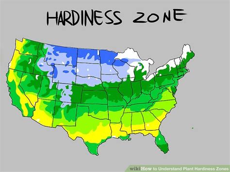 understanding plant hardiness zones  steps