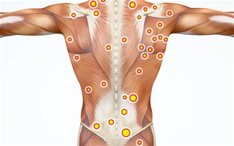 trigger point massage why it s different massage