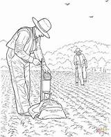 Agricultura Contadini Farmer Agricultor Homem Supercoloring Atividades Uma Trator Stampare Mestieri Arando sketch template