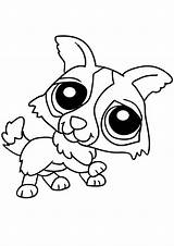 Coloring Pet Pages Littlest Shop Lps Husky Minka Print Cute Cat Template Horse A4 Printables Girls Wolf sketch template