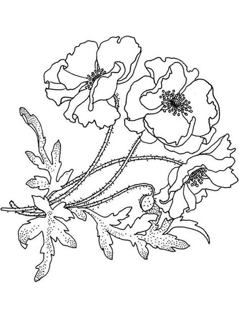 poppy flower coloring pages jpg  poppy coloring page