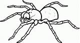 Spider Coloring Pages Outline Printable Drawing Tattoo Line Insects Clipart Spiders Color Print Draw Colouring Kids Fluffy Huge Minecraft Designs sketch template
