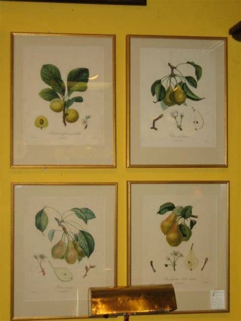 french fruit botanical prints  sale antiquescom classifieds