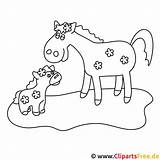 Fohlen Pferde Pferd Malvorlagen Malvorlage Titel sketch template
