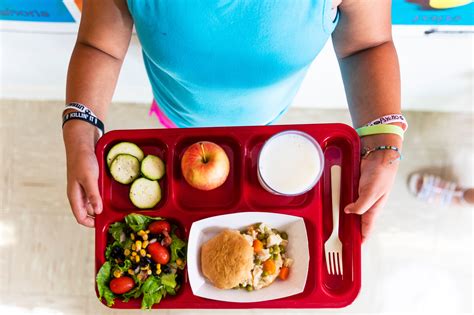 school lunches    nutritious   challenges