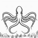 Octopus Coloring Pages Printable Kids Cool2bkids sketch template