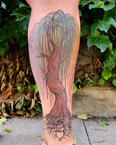 Freehand Weeping Willow Tree Tattoo On The Shin