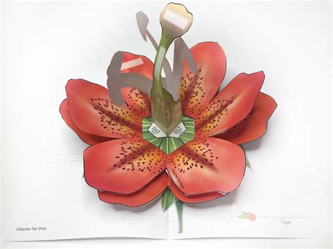 pop  flower printable flower card etsy uk