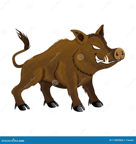 angry wild boar stock vector illustration  wildlife