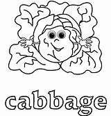 Cabbage Getdrawings sketch template