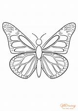 Butterfly Draw Getdrawings Tutorials sketch template