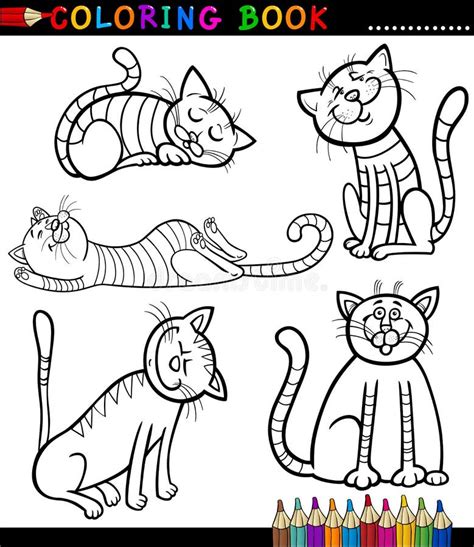 puppy  kitten coloring sheet  kitten  puppy coloring pages