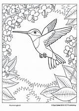 Coloring Pages Humming Birds Sheets Kids Hummingbird Books sketch template